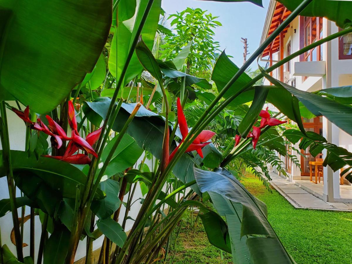 Villa Ema Galle Exterior photo